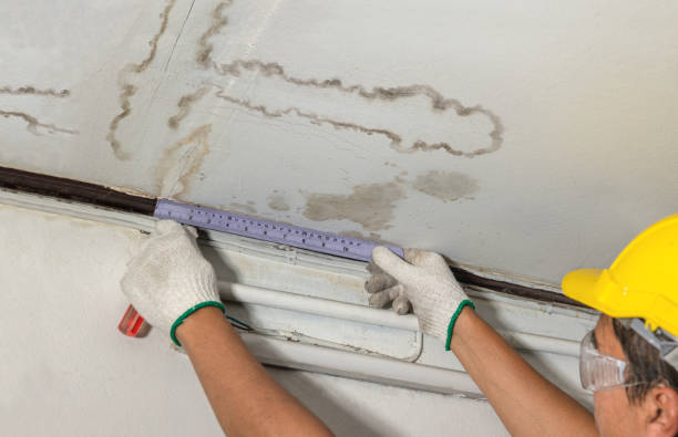 Reliable Burst Pipe Cleanup contractor in Menno, SD by Water Damage Irwin